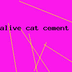 alive cat cement driveway in sealed